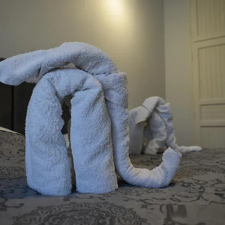 Niki 's House * メガリ・アモス