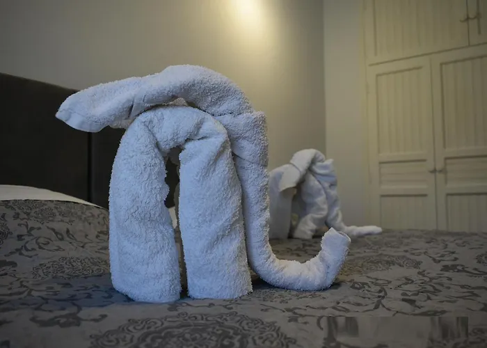 Niki 's House * メガリ・アモス