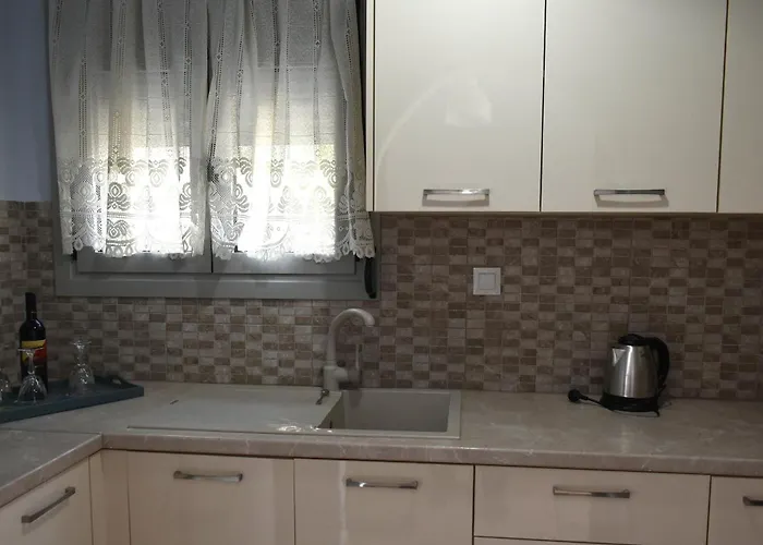 Niki 's House アパート メガリ・アモス